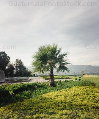 Jardín en Plaza Berlin