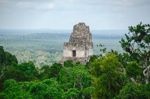 Templo I de Tikal, Gran Jaguar, Tikal