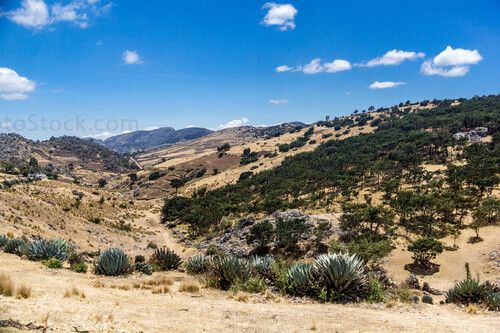 Paisaje de la cumbre de los cuchumatanes