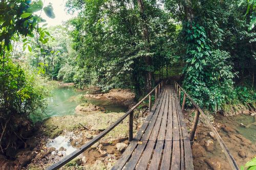 Sendero en el balneario Las Conchas