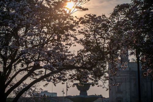 Amanecer en la plaza central