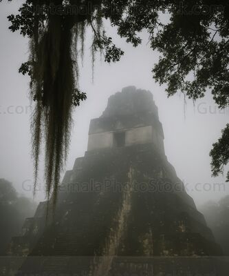 Gran Jaguar, templo Maya envuelto en niebla en Tikal