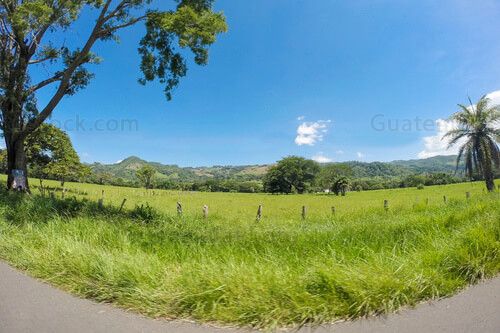 Paisaje de Jalpatagua