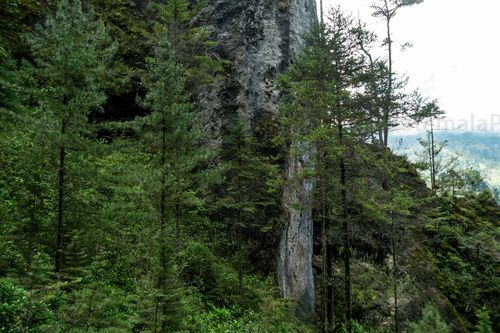 Sendero Ecológico La Maceta