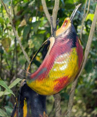 Aves hechas con reciclaje de llantas