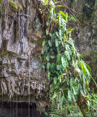 Cueva Goj Chen
