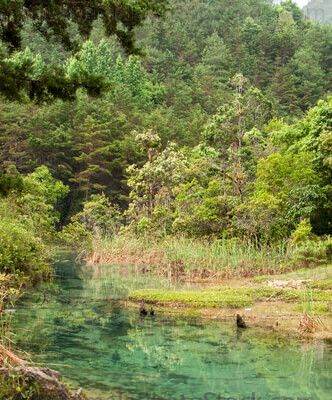 Río afluente de Laguna Brava