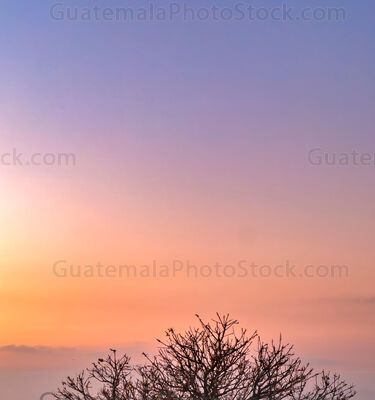 Atardecer