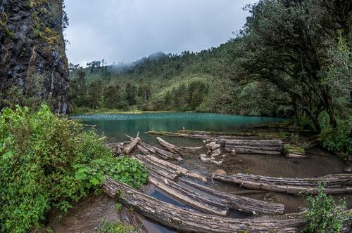 Laguna Magdalena