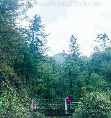 Sendero ecológico La Maceta