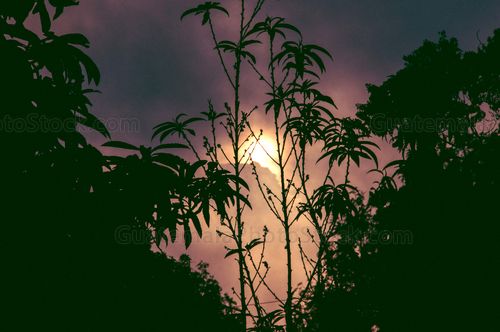 Atardecer en San Cristobal el Alto
