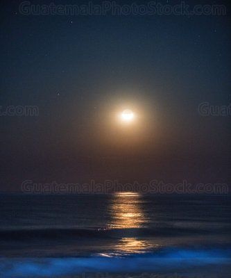 Luna sobre el mar