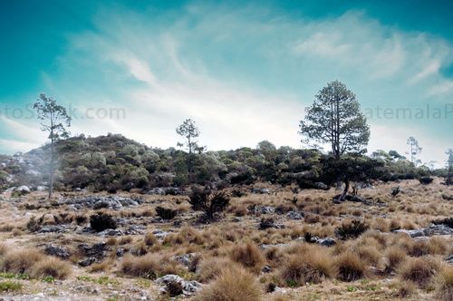 Parque Regional Municipal Todos Santos