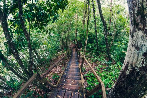 Sendero en el balnerario Las Conchas