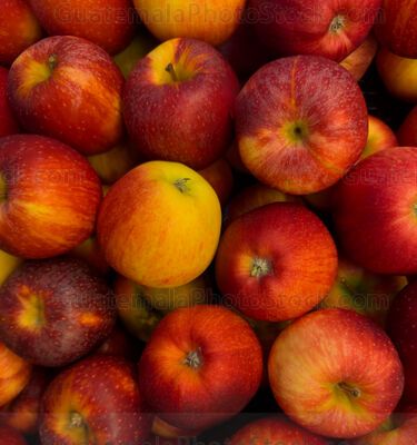Manzana roja