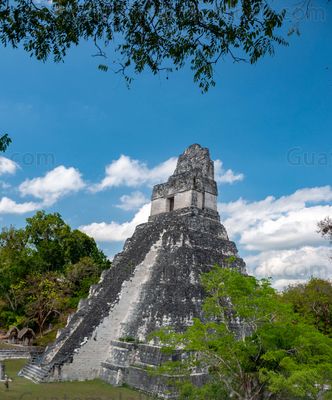 Templo I de Tikal, Gran Jaguar, Tikal