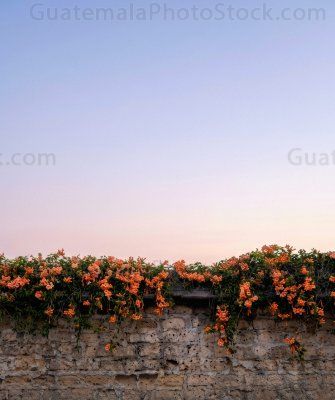 Amanecer en las calles de la Antigua Guatemala
