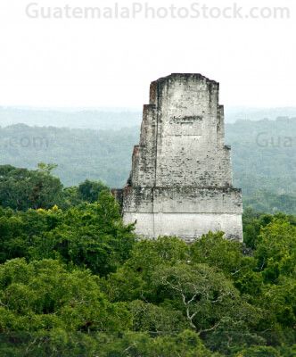 Cresta Templo III Parque Nacional Tikal
