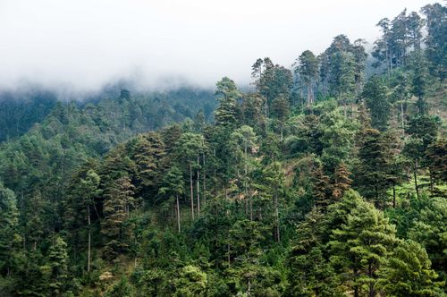 Mirador Juan Dieguez Olaverri