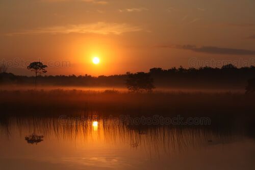 Amanecer en las tierras bajas de Petén