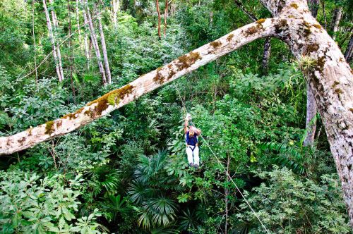 Canopy en Parque Nacional Tikal