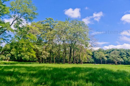 Paisaje del autosafari