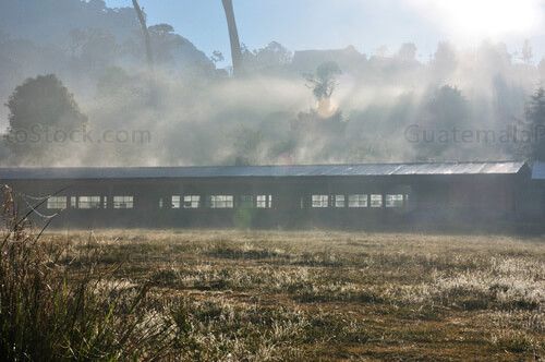 Escuela nacional en Cruz Chut