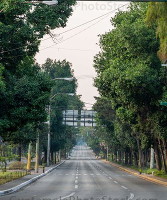 Avenida La Reforma