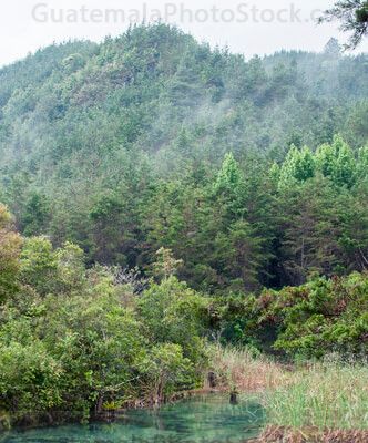 Río afluente de Laguna Brava