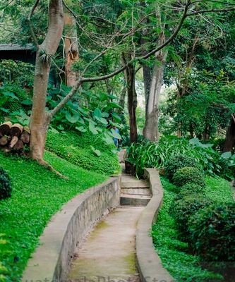 Sendero en el Cerrito del carmén