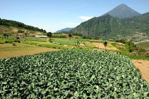Campos agricolas de Zunil, Quetzaltenango