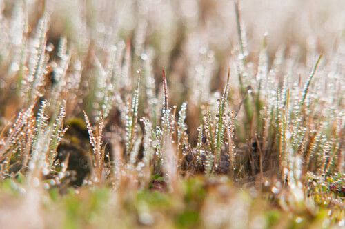 Amanecer en la cumbre de los Cuchumatanes