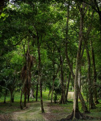 Calzada en el Sitio Arqueológico Yaxhá