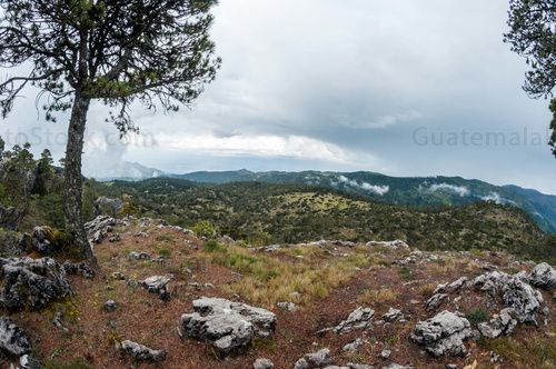 Mirador La Torre