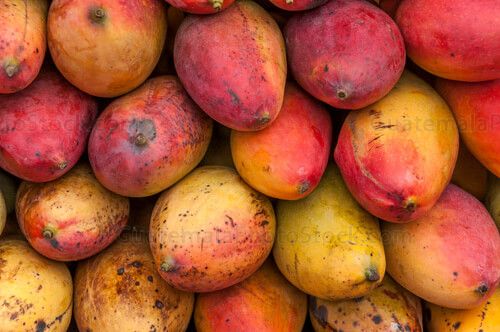 Mango pico de loro