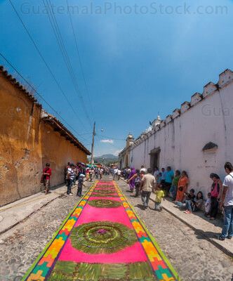 Alfombra de aserrín