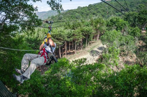Canopy