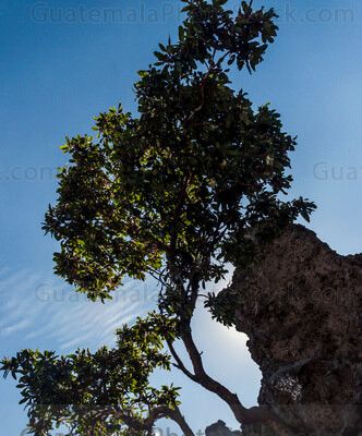 Cerro Quemado