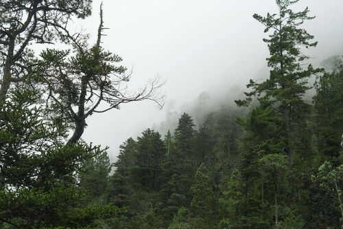 Sendero La Maceta