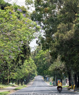 Las Americas, Zona 14