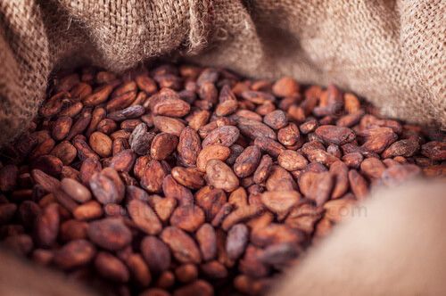 Granos de cacao