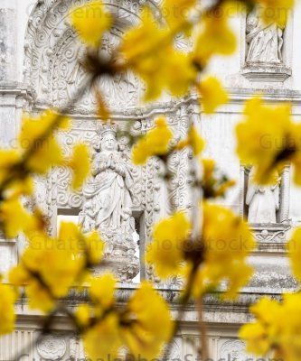 Flores amarillas frente a San José Catedral