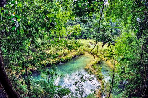 Pozas de Semuc Champey