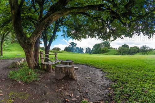 Areas verdes de Kaminal Juyu’