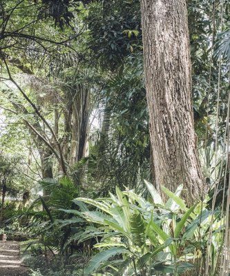 Sendero del Jardín Botanico