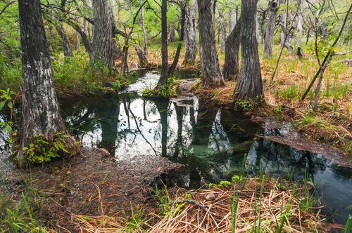 Nacimiento del Río Lagartero