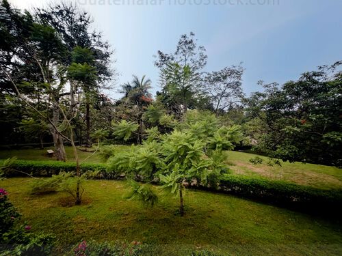 Jardinización en el Cerrito del carmén