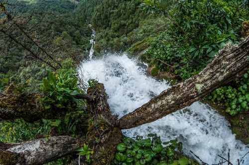Río que desagua la Laguna Magdalena