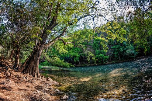 Río Azul
