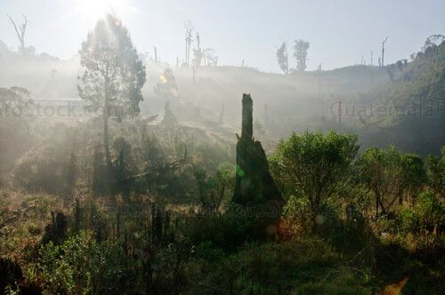 Sierra de Chamá